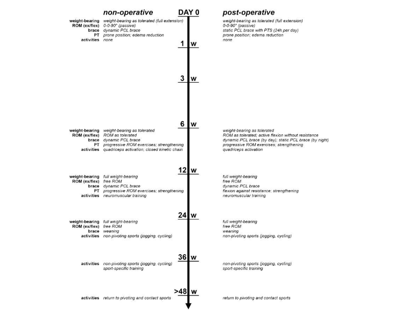 tempistiche-e-progressione-trattamento-lcp